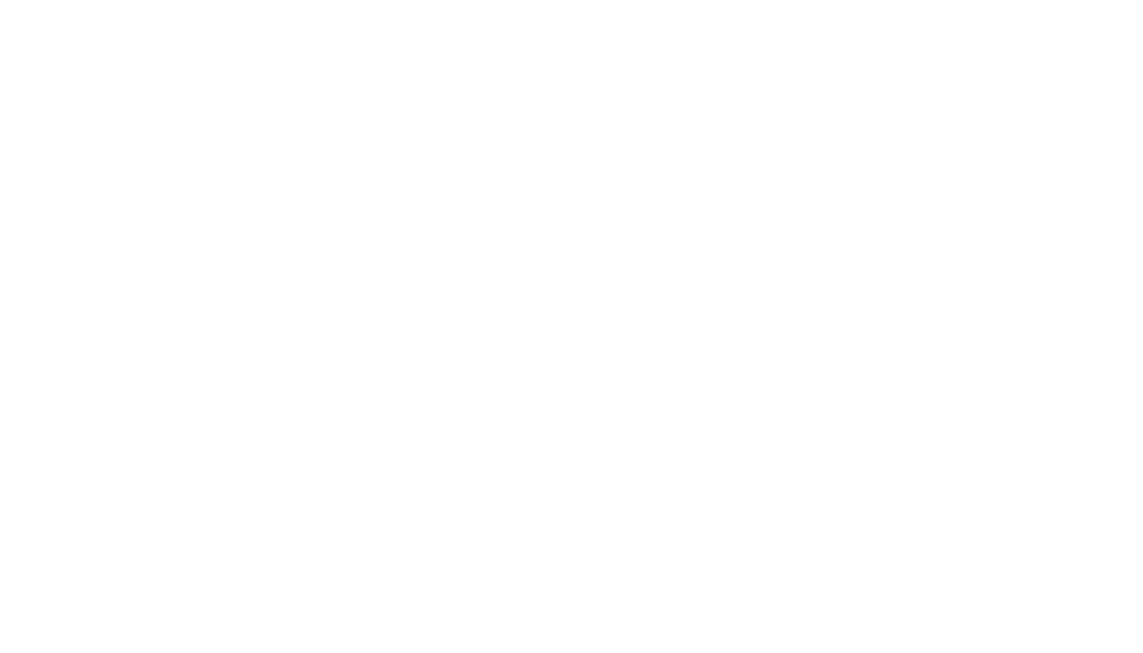 SHEENA'S SCENT